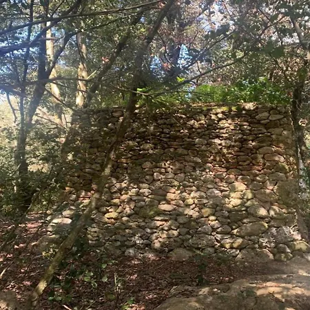 Odegos Maliconca Pensjonat *