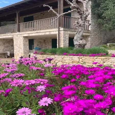 Guest house Odegos Maliconca