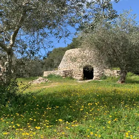 Odegos Maliconca 게스트하우스 *