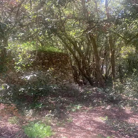 Maliconca Dimora Rurale * Castrignano de' Greci